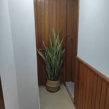 Albahaca's House Nyaraló *